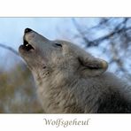 Wolfsgeheul