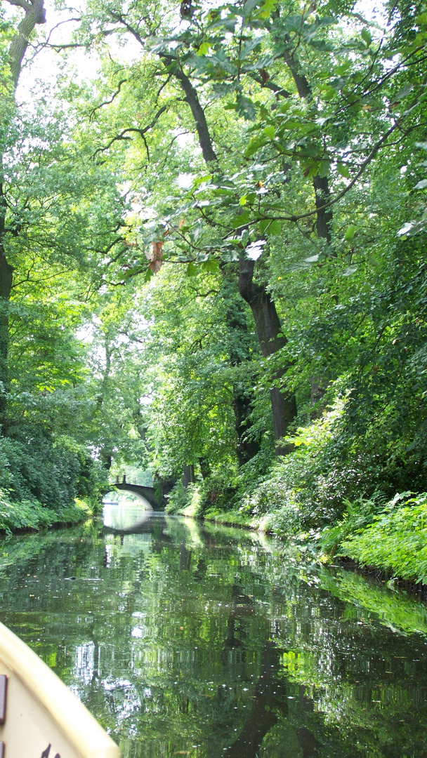 Wolfskanal im Wörlitzer Park