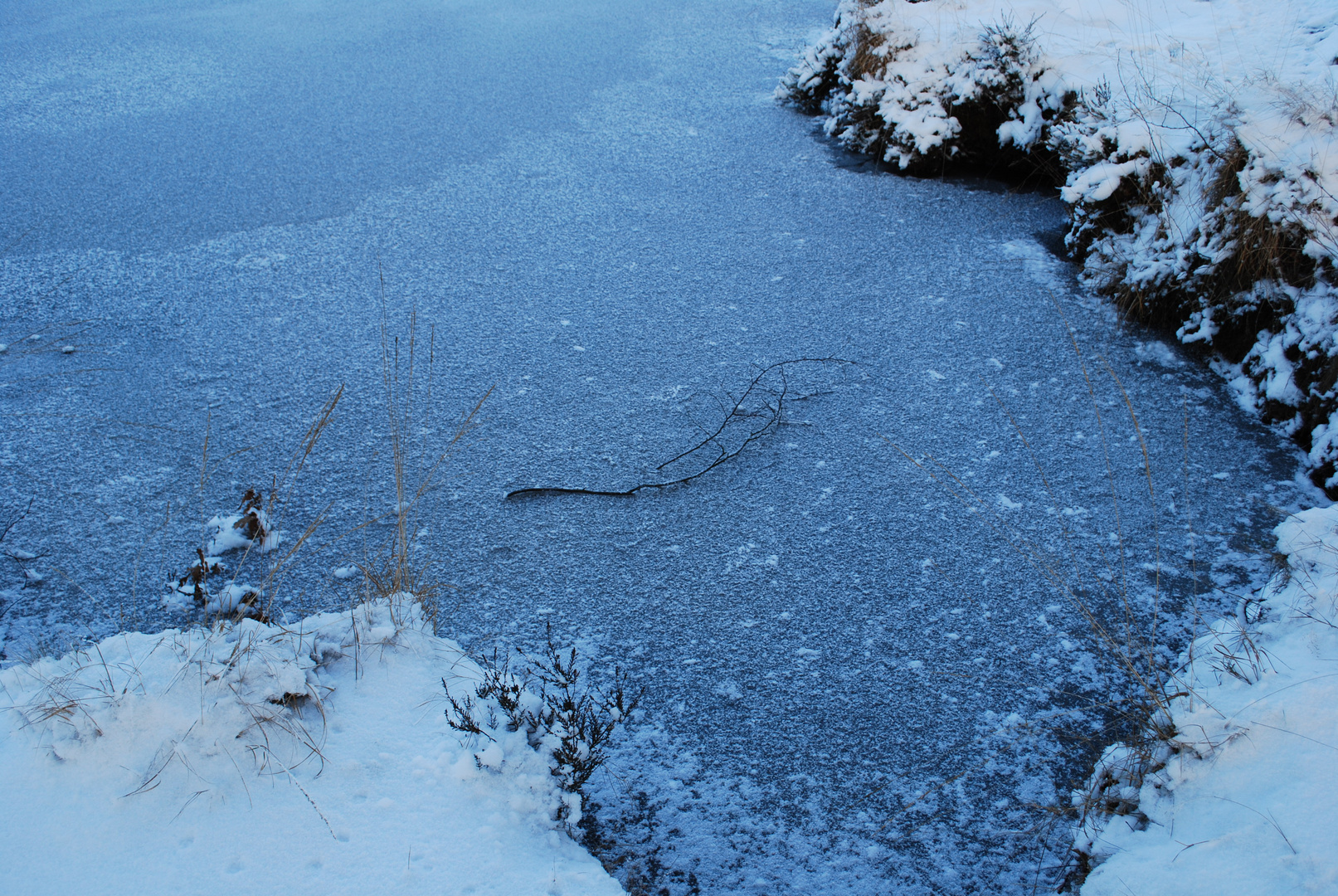 wolfsmeer im winter