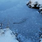 wolfsmeer im winter