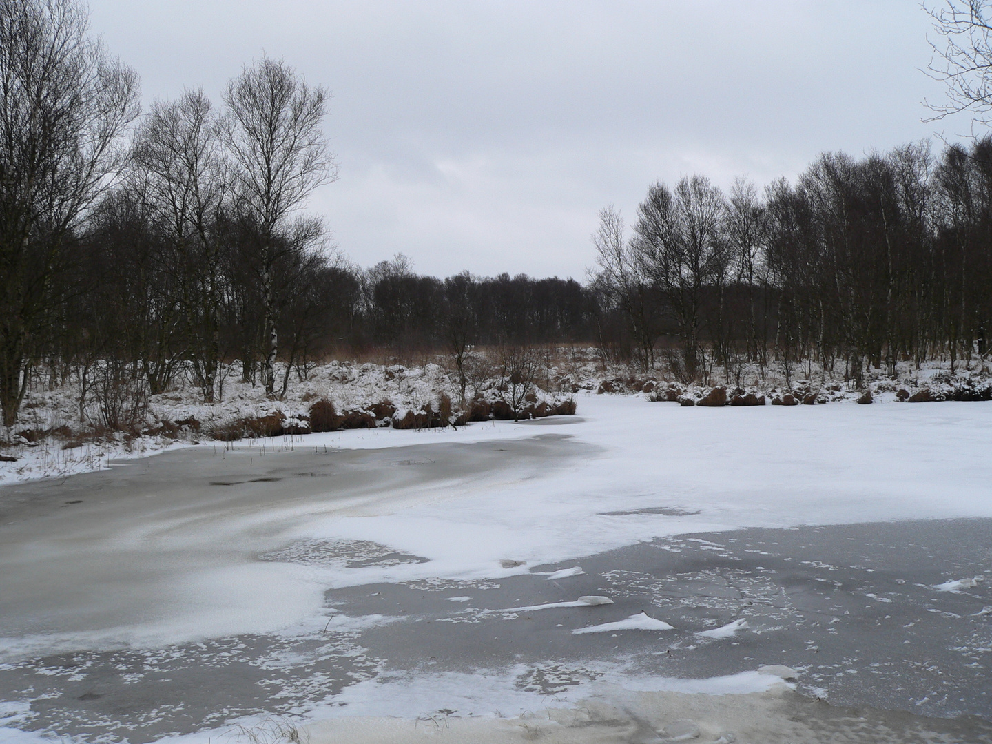 Wolfsmeer in Ostfriesland