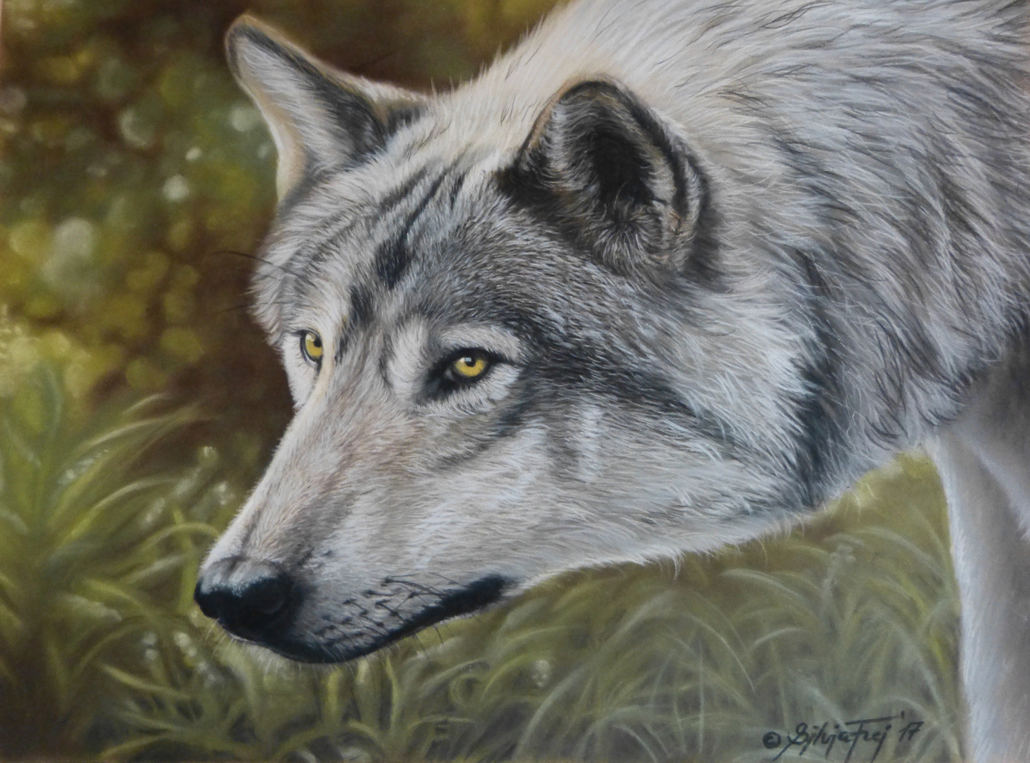 Wolfsportrait in Pastell