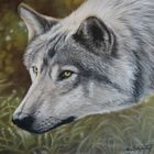 Wolfsportrait in Pastell