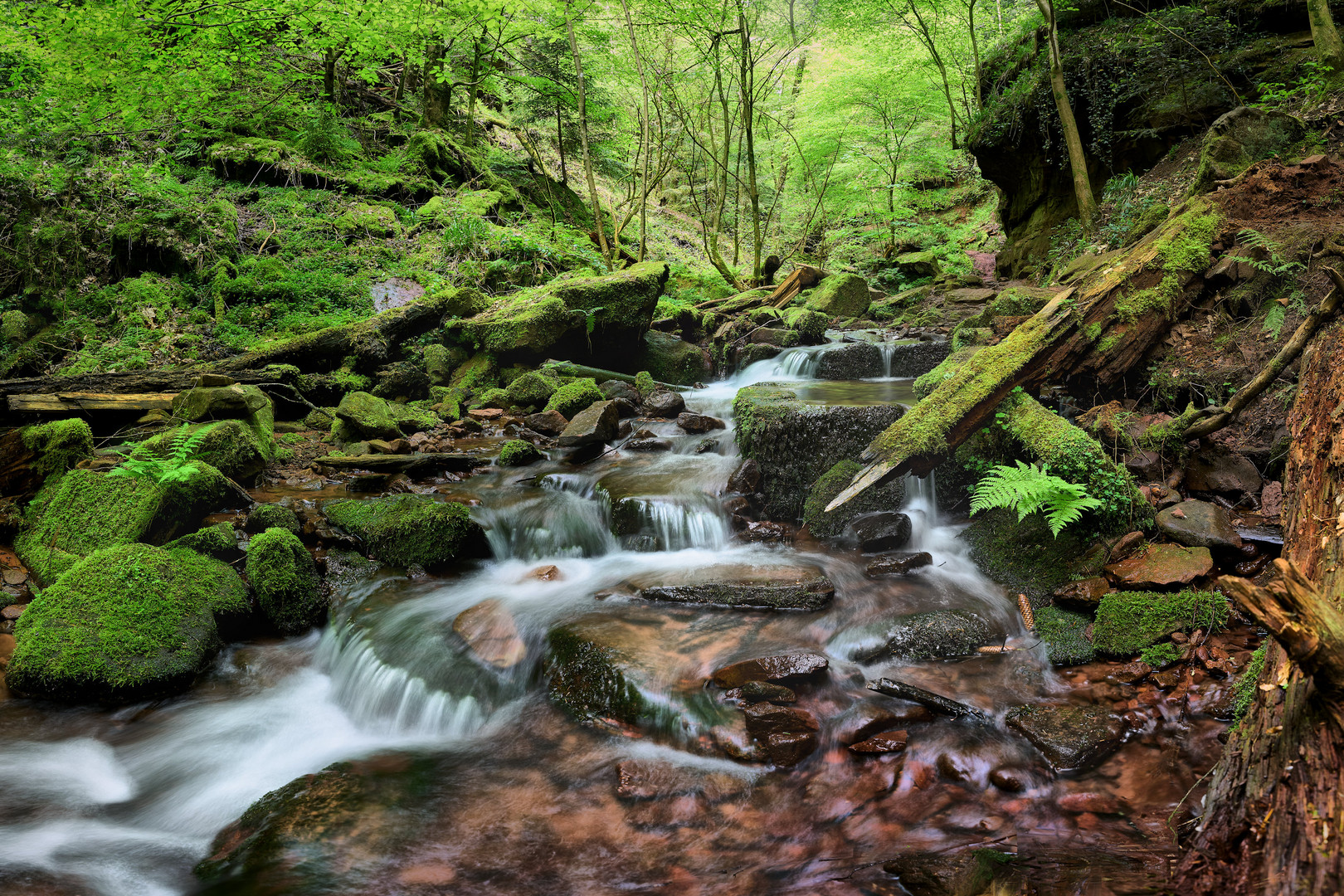 Wolfsschlucht