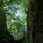 Wolfsschlucht