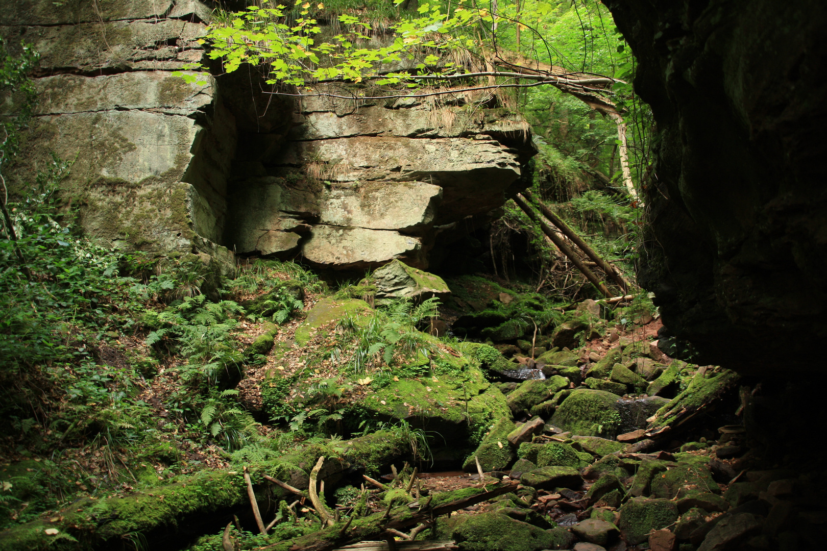 Wolfsschlucht bei Zwingenberg (Odenwald)