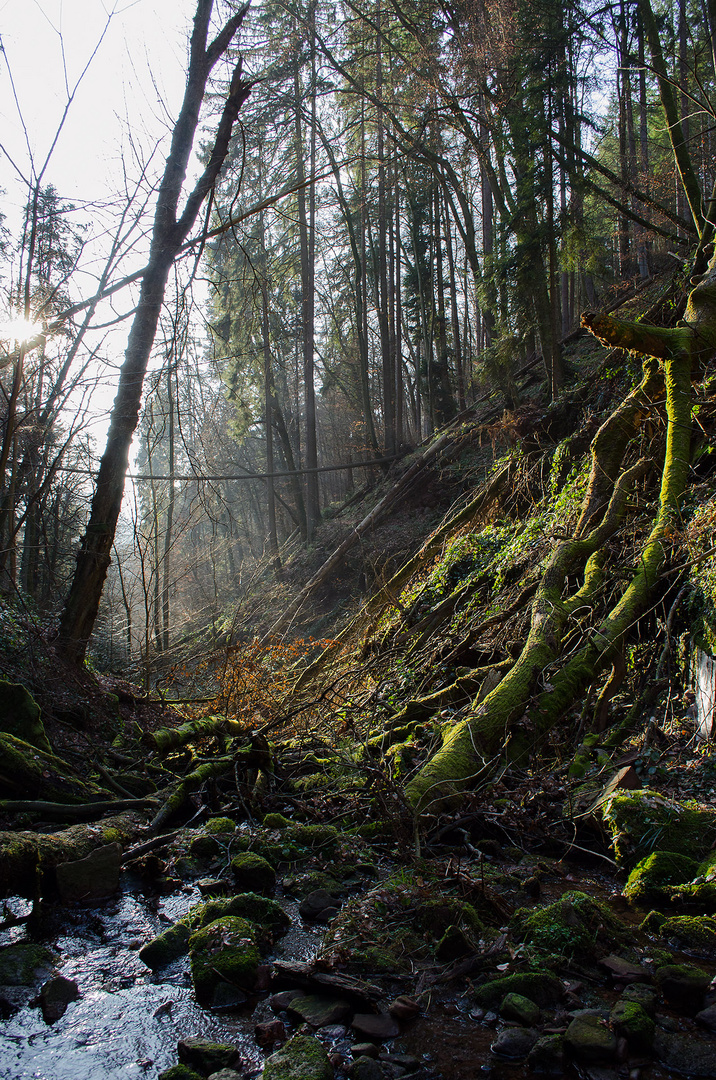 Wolfsschlucht im Sonnenuntergang