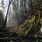 Wolfsschlucht im Sonnenuntergang