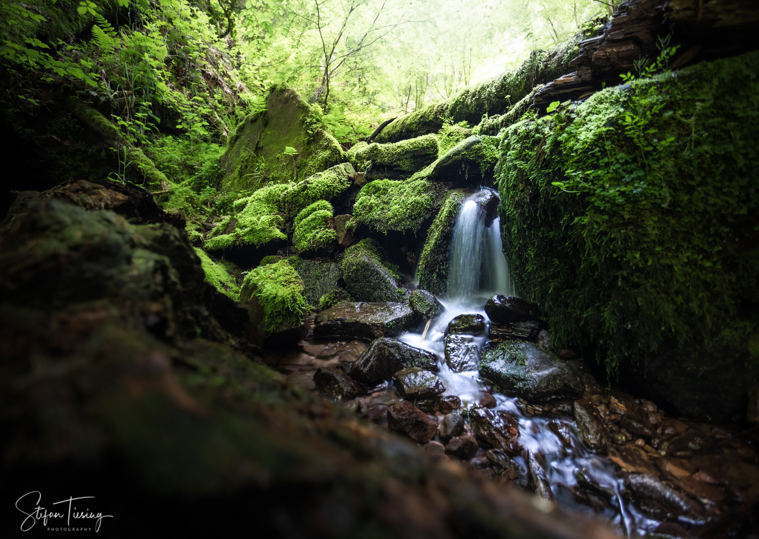 Wolfsschlucht Zwingenberg