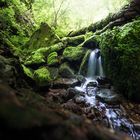 Wolfsschlucht Zwingenberg