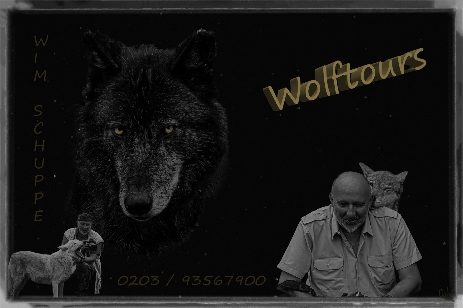 Wolftours 2