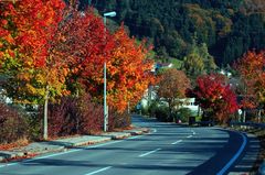 Wolfurt Herbst 2007