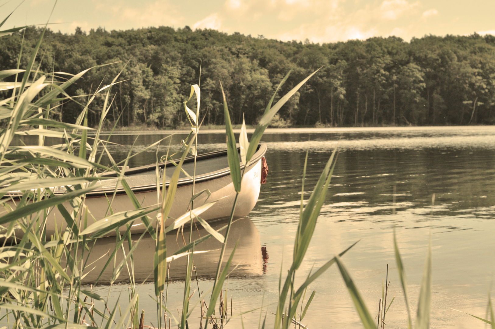 Wolgastsee, Insel Usedom