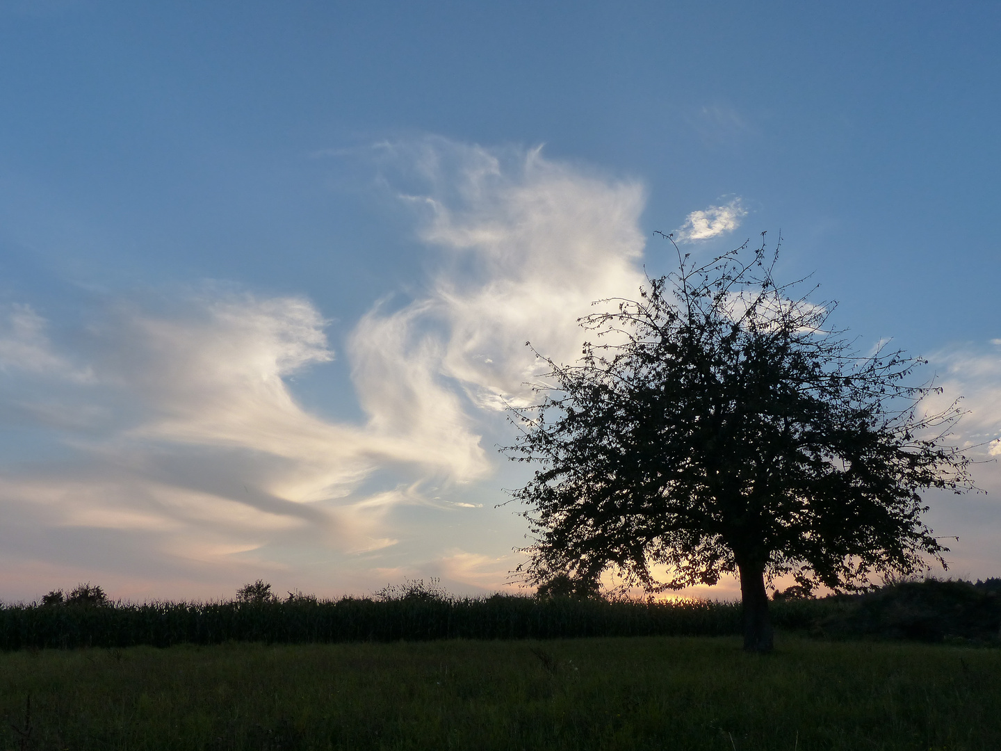 Wolke?