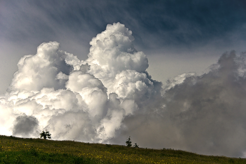 Wolke