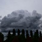 Wolke