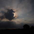 Wolke am Abend