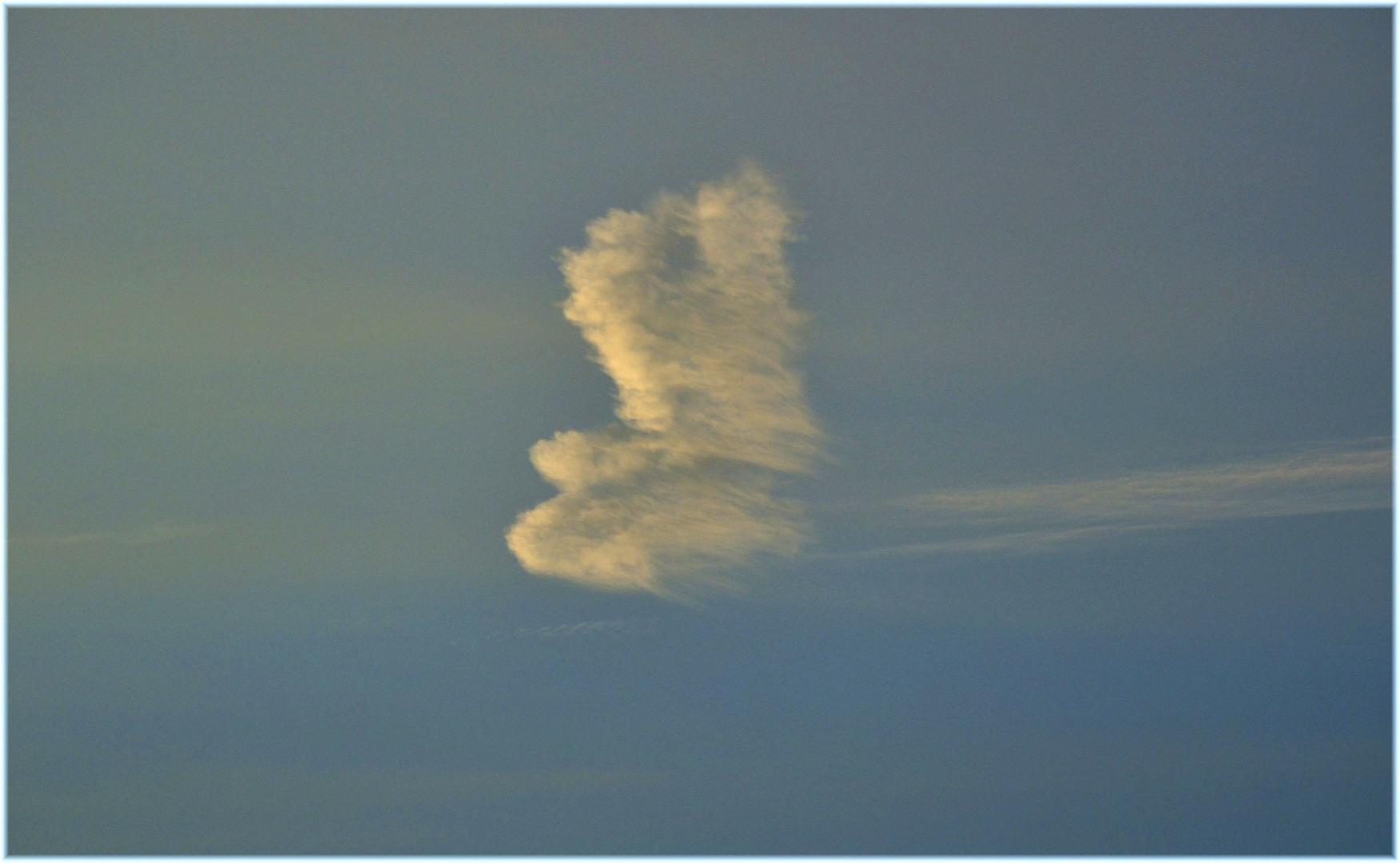 Wolke Engel oder Vogel ( 2)