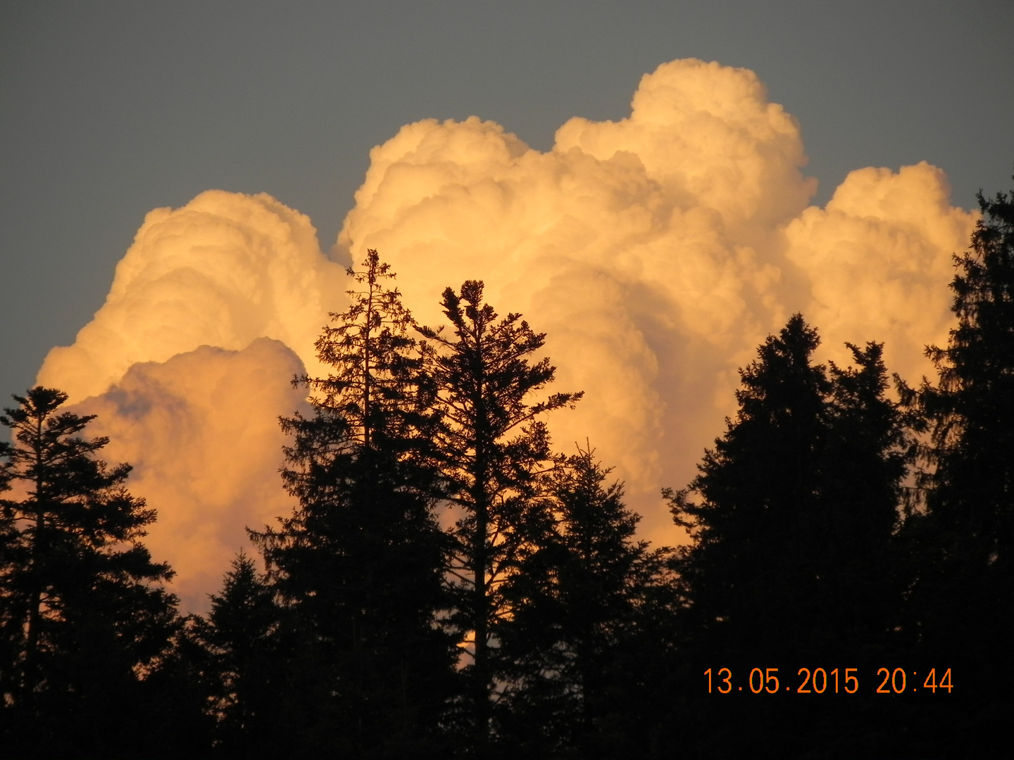 Wolke im Abendlicht