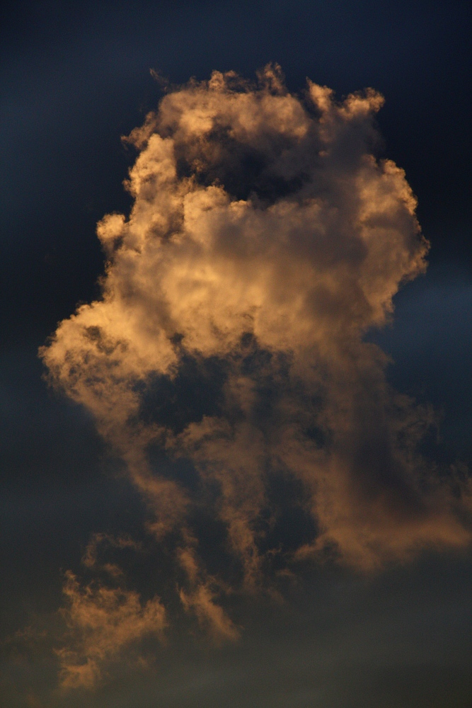 Wolke im Abendrot