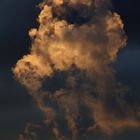 Wolke im Abendrot