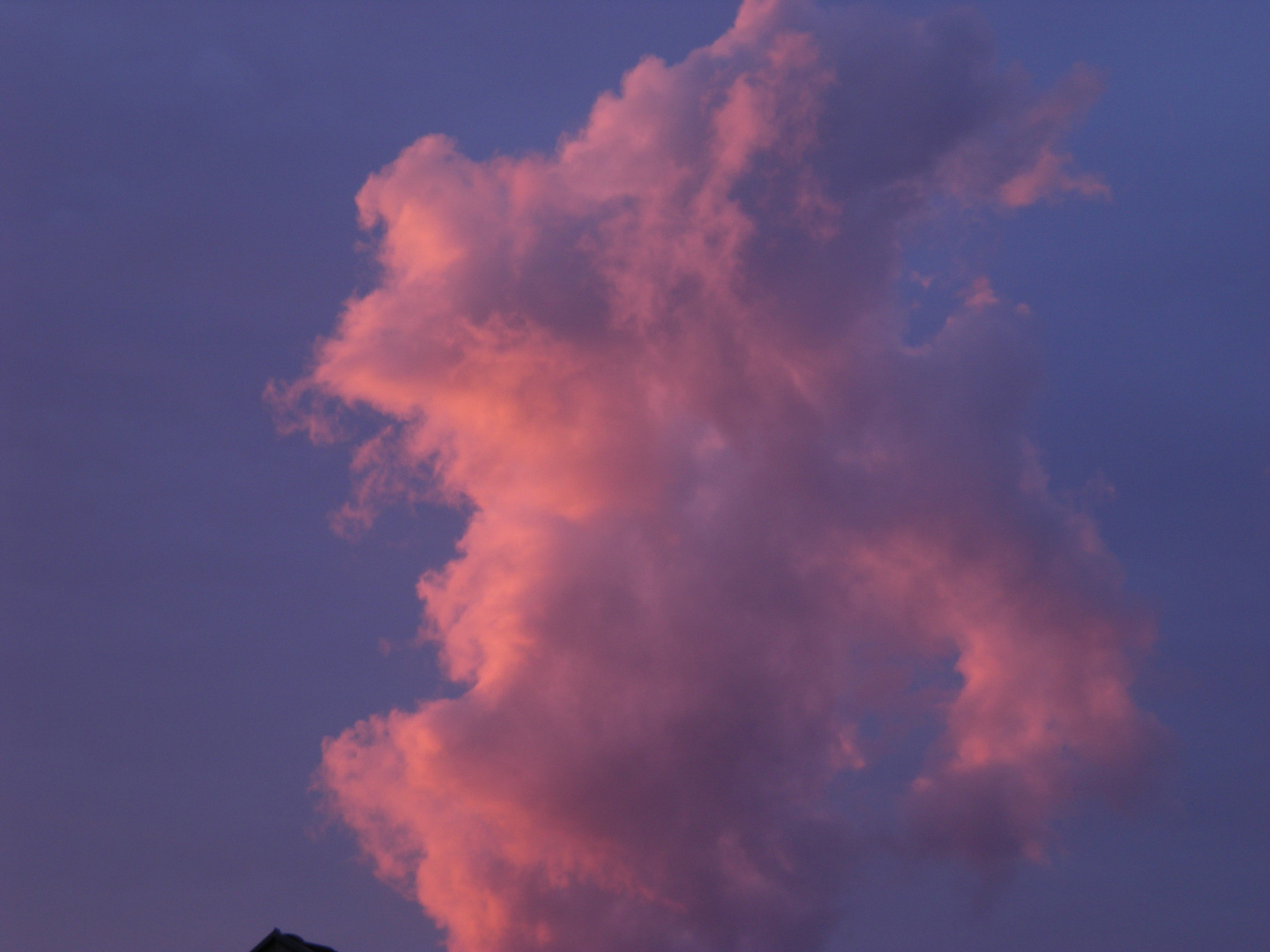 Wolke im Kraftwerk Neckwestheim