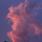 Wolke im Kraftwerk Neckwestheim