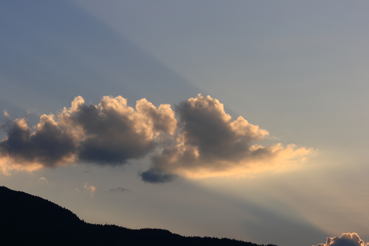 Wolke im Licht