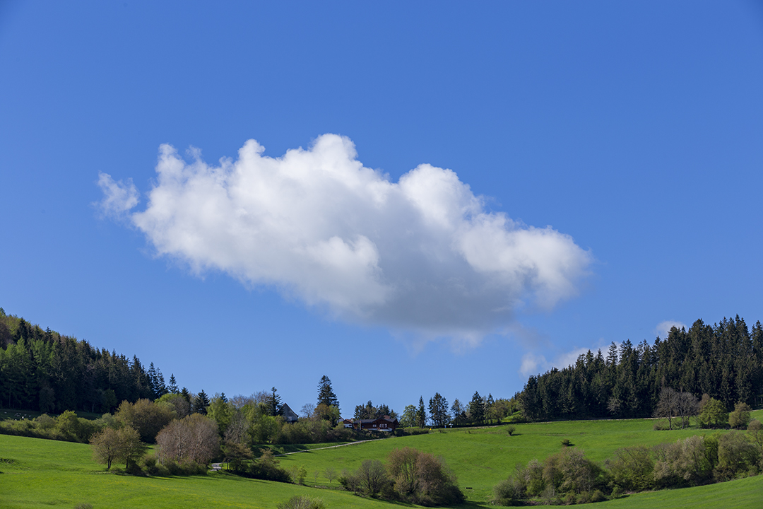 Wolke im Vorbeiflug...