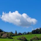 Wolke im Vorbeiflug...