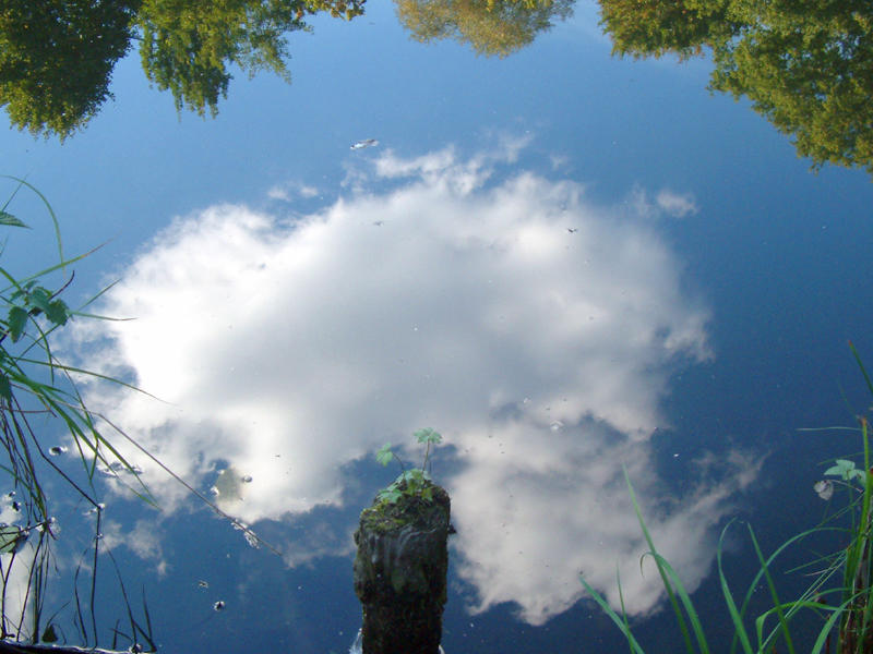 Wolke im Wasser