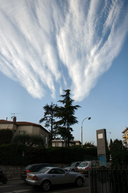 Wolke oder Raumschiff - oder: was hat der Baum der Wolke getan?