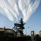 Wolke oder Raumschiff - oder: was hat der Baum der Wolke getan?