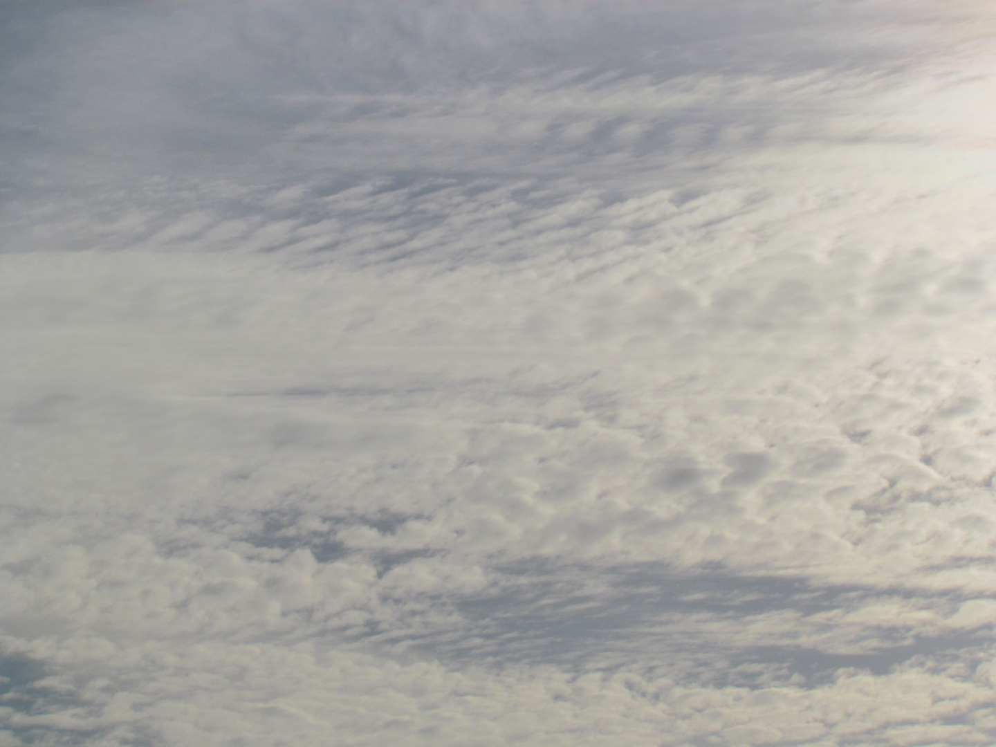 Wolke oder Wüste