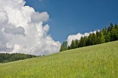 Wolke trifft Wiese