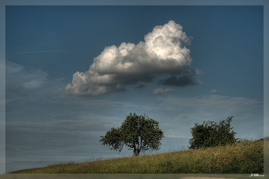 Wolke über Apfelbaum