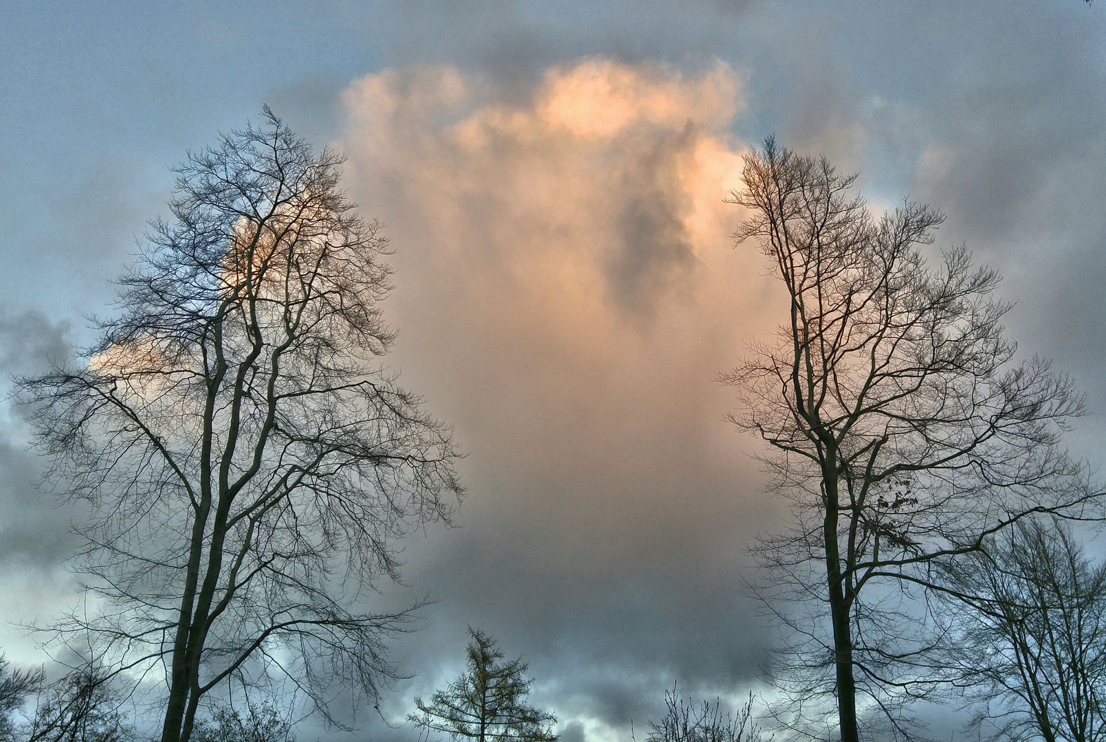 Wolke umrahmt von Bäumen...