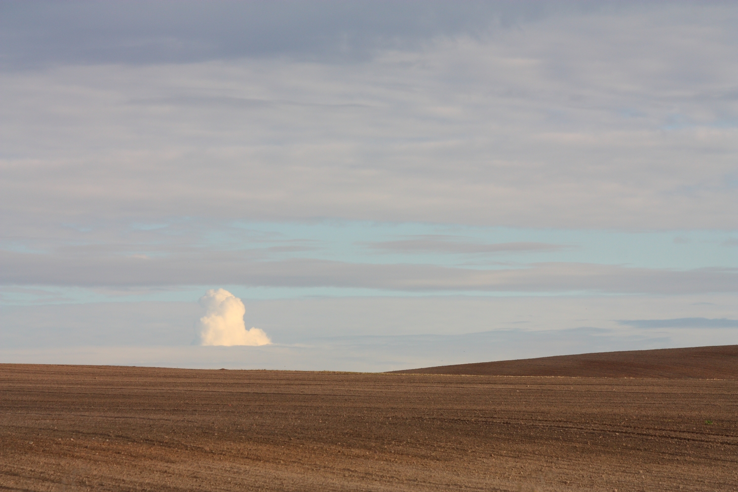 Wolke und Feld