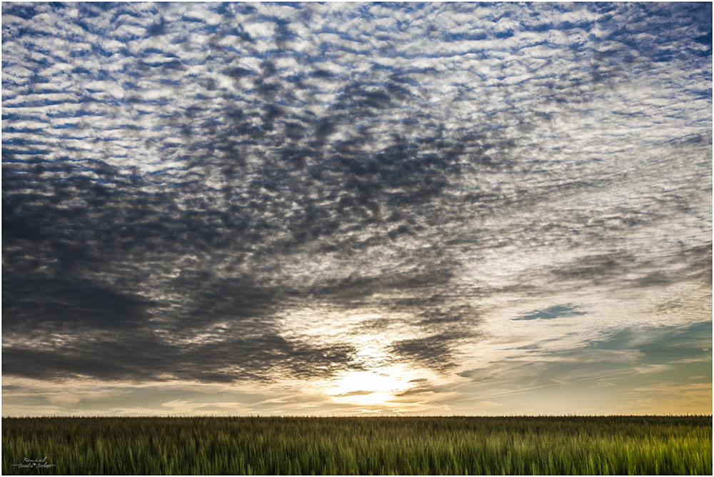 ~ wolken ~