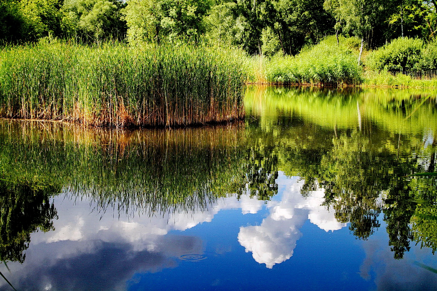 Wolken