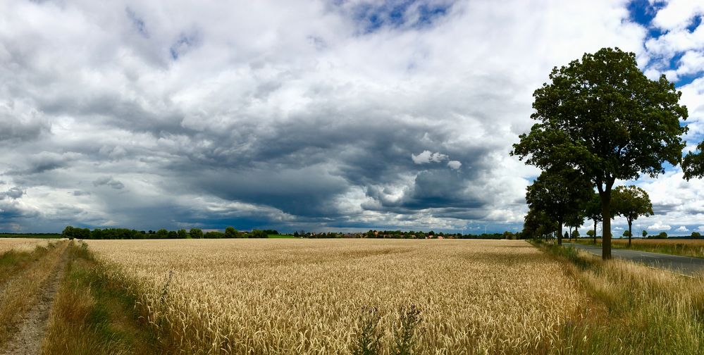 Wolken ... 