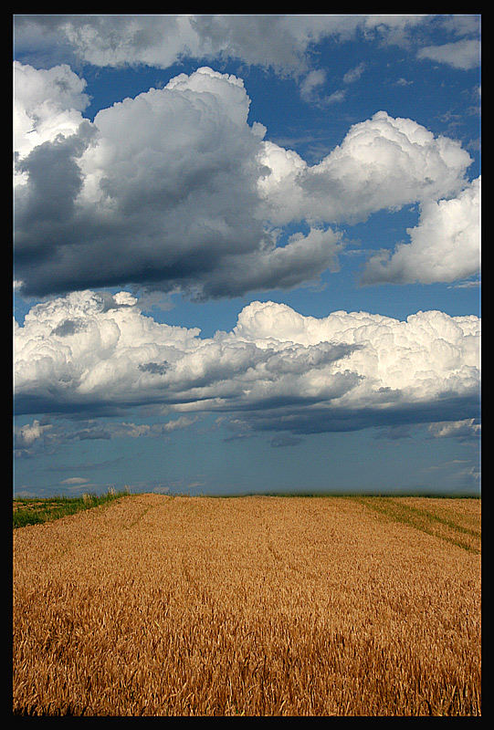 Wolken