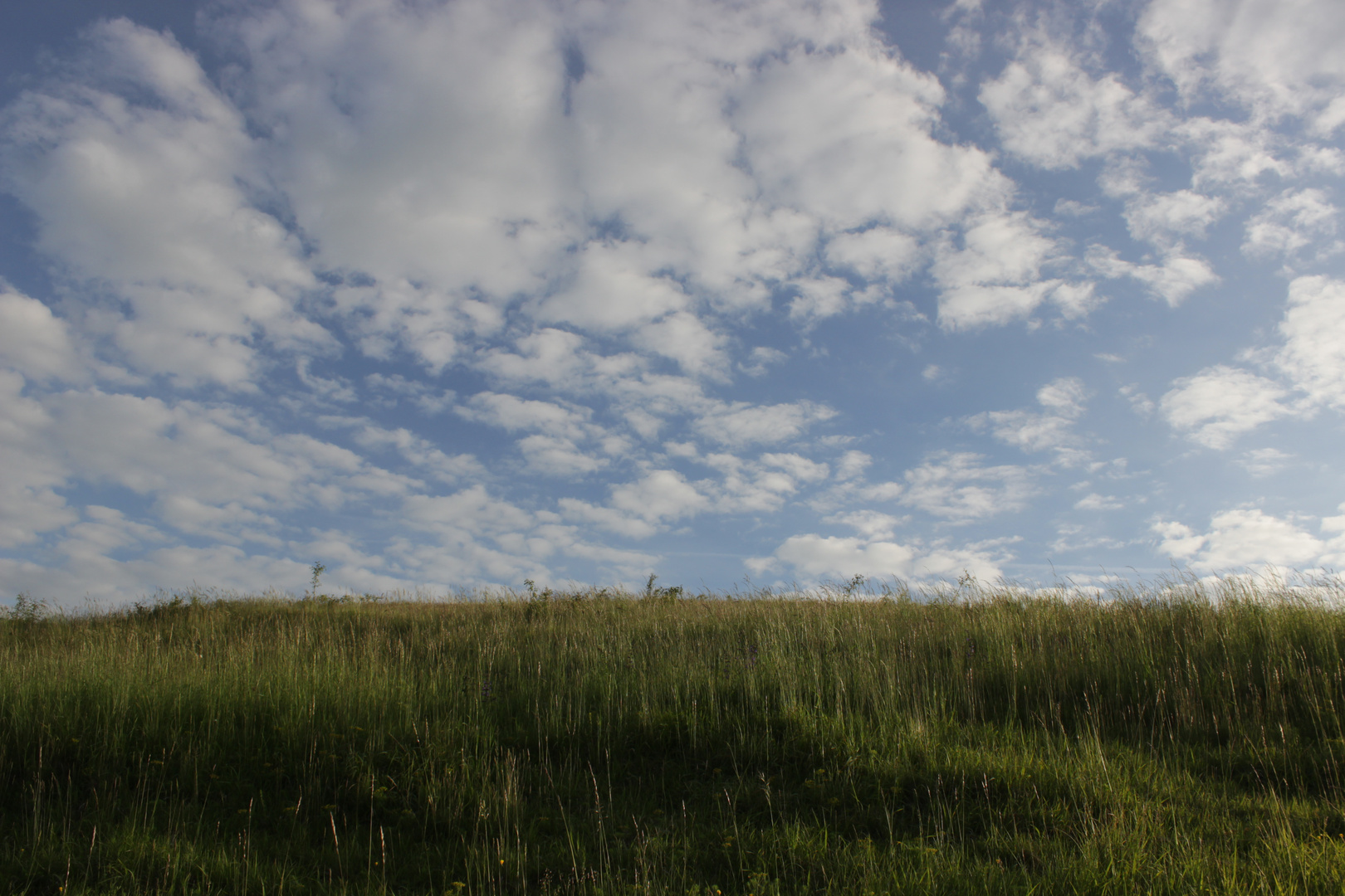 Wolken