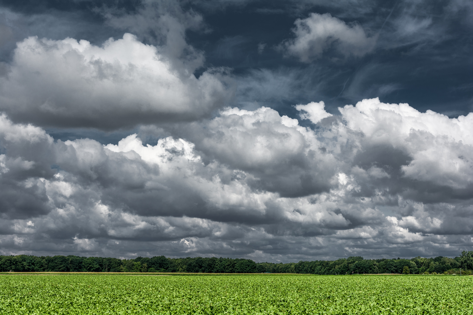 Wolken