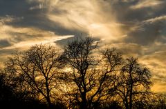 Wolken-20190216-27086