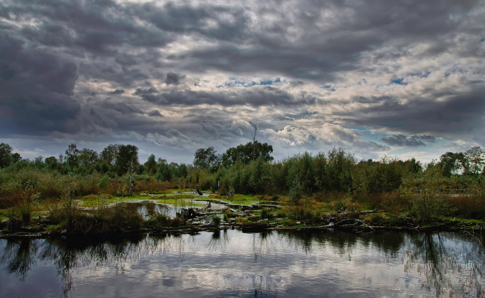 Wolken