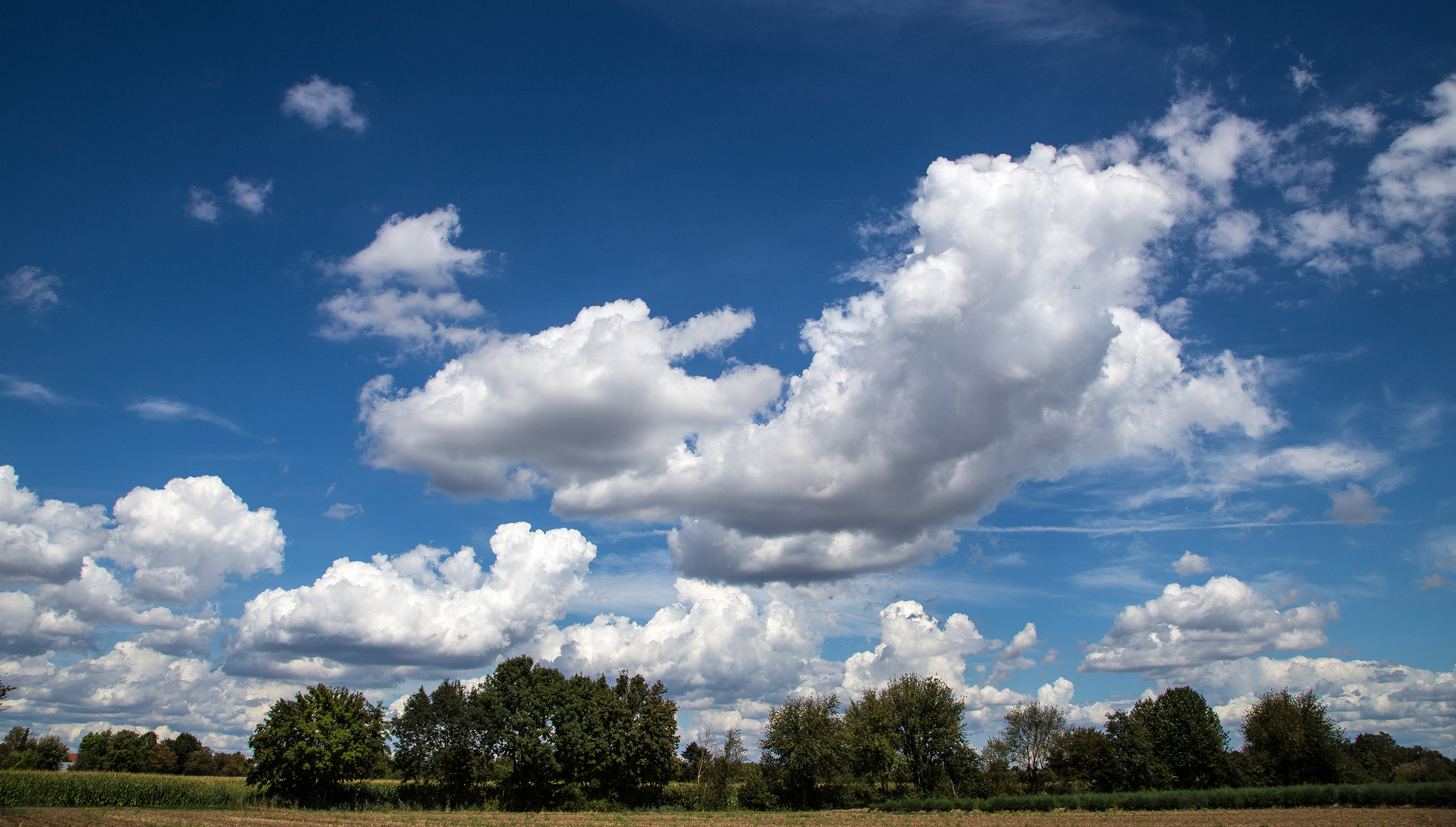 Wolken