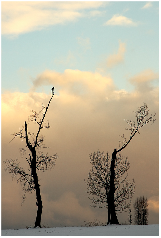 wolken..