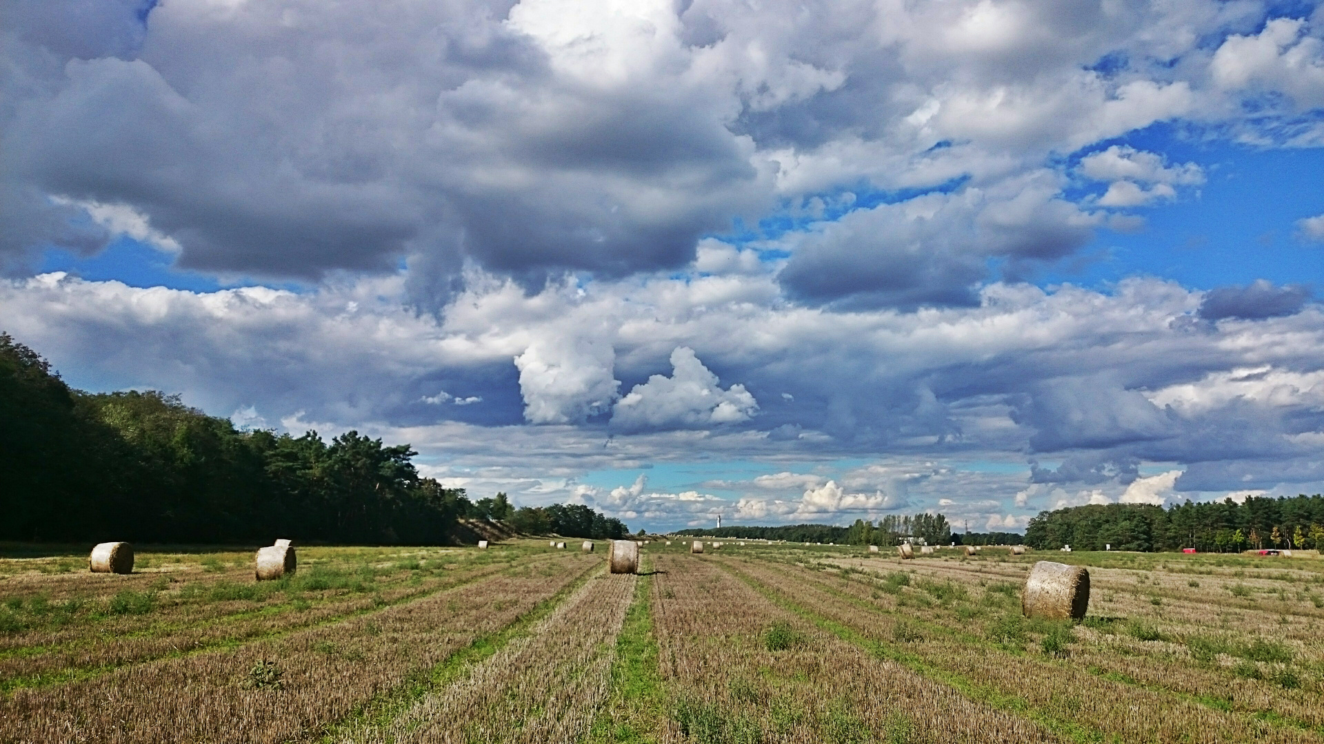 Wolken