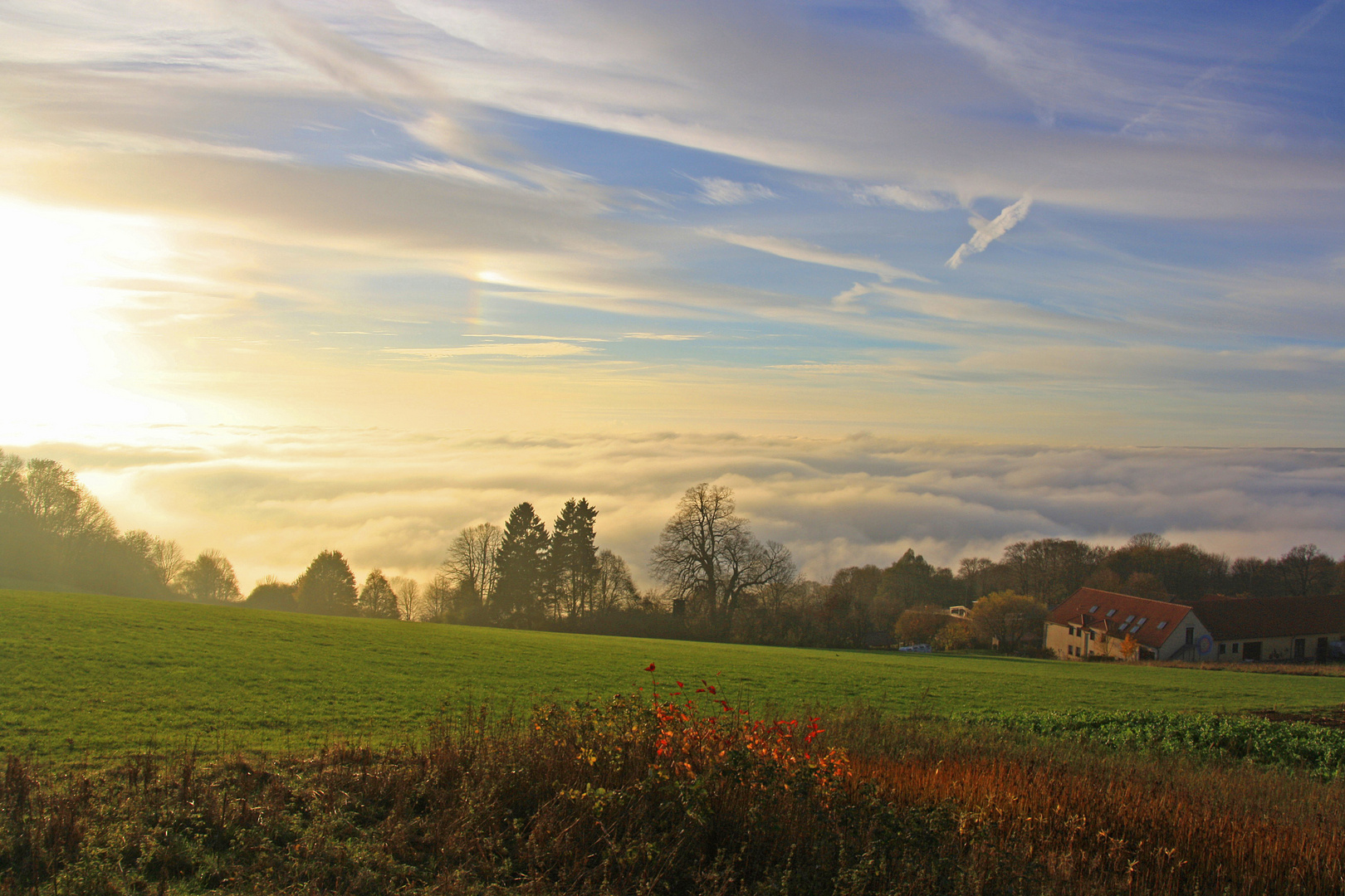 Wolken